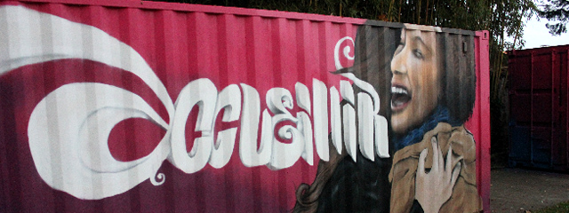 Bordeaux : Graffiti sur containers avec un groupe de jeune